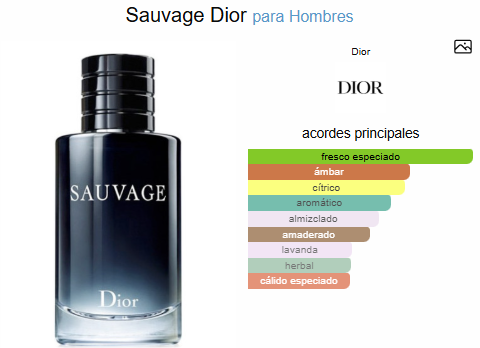 SAUVAGE / DIOR