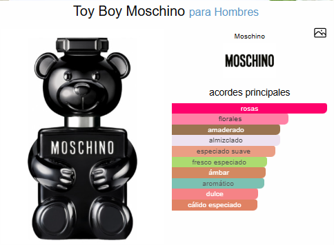 TOY BOY / MOSCHINO